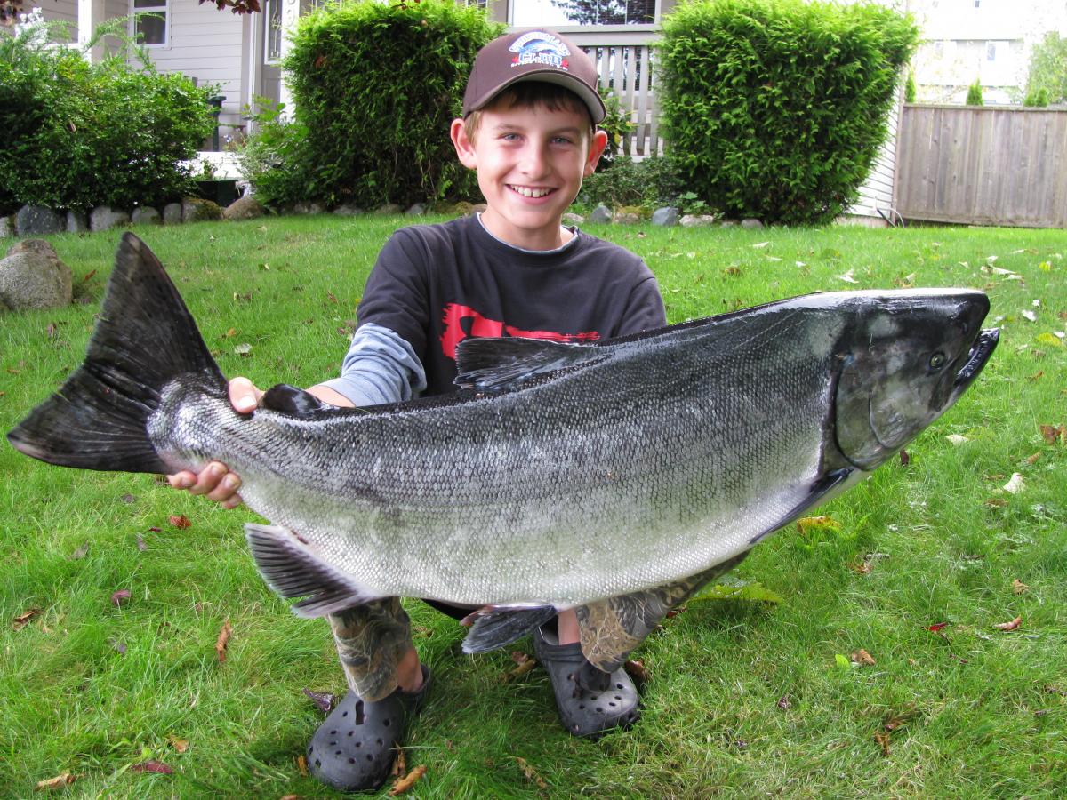matts fish