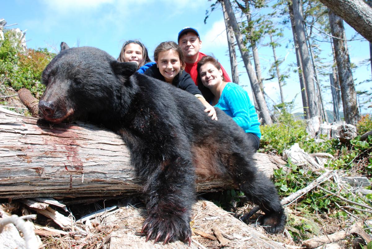 bears