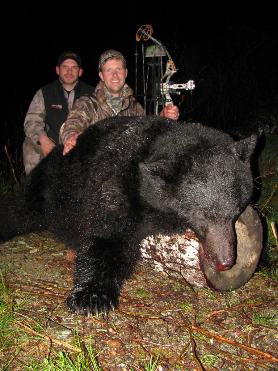 bear