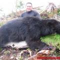 2 bears, 2 hours apart