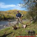 Rocky Mtn Elk