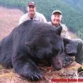 Last bear of the '07 Season, 21 inch skull