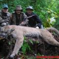 Fall combo cougar