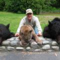 Spring bear / cougar combo
