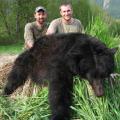 19 + boar in the grass harvested by Kevin