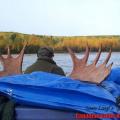 Moose hunting
