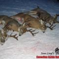A good days hunt