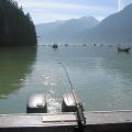 Salmon fishing