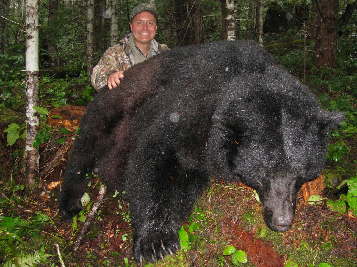 bear